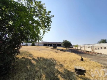 Prédio para Venda em Monforte