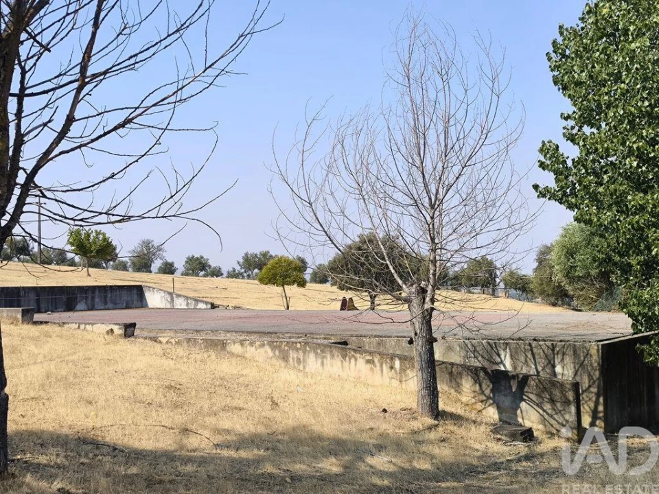 Prédio para Venda em Monforte Foto 5
