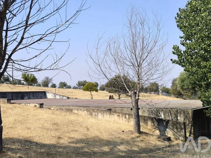 Prédio para Venda em Monforte Foto 5