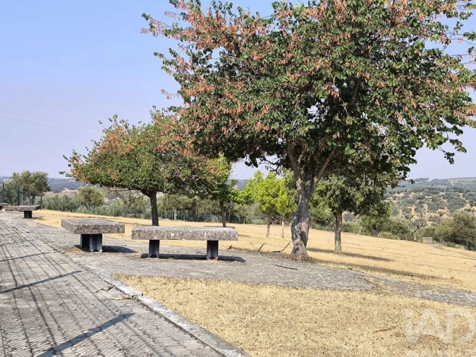 Prédio para Venda em Monforte Foto 2