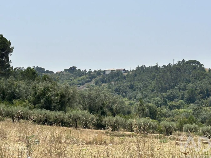 Apartamento para Venda em Pombal Foto 34