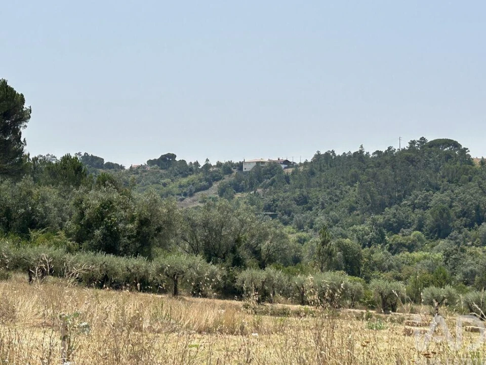 Apartamento para Venda em Pombal Foto 34