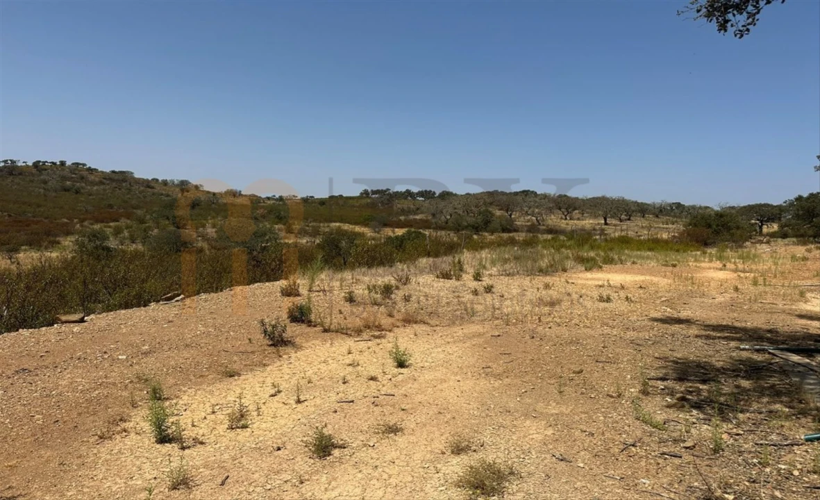 Terreno Agricola ou Rústico para Venda em Mertola Foto 3