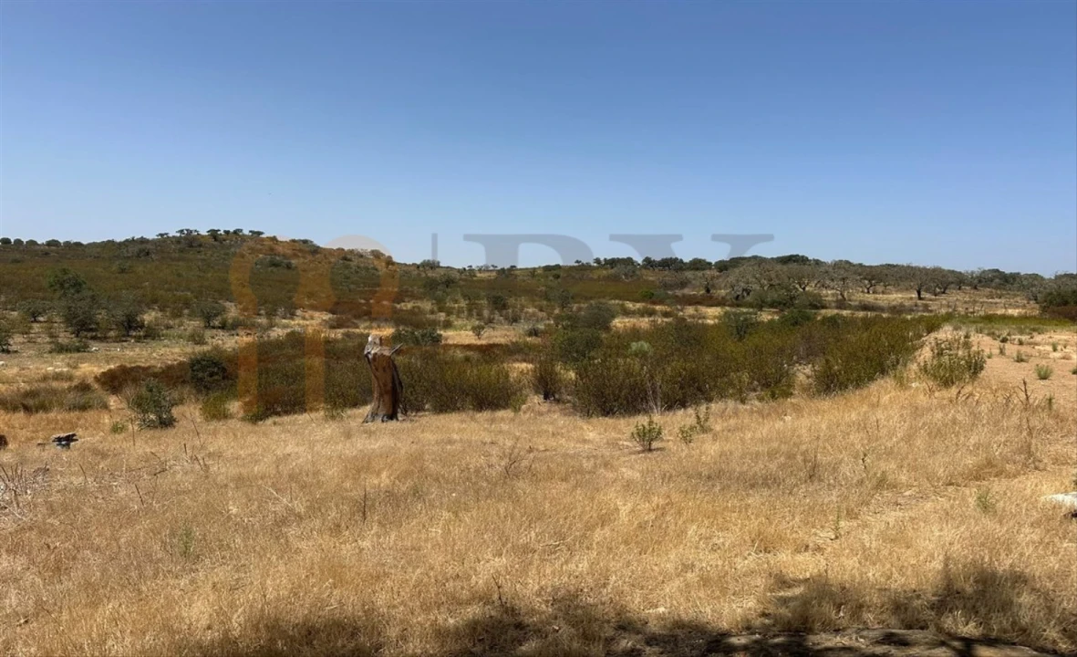 Terreno Agricola ou Rústico para Venda em Mertola Foto 2