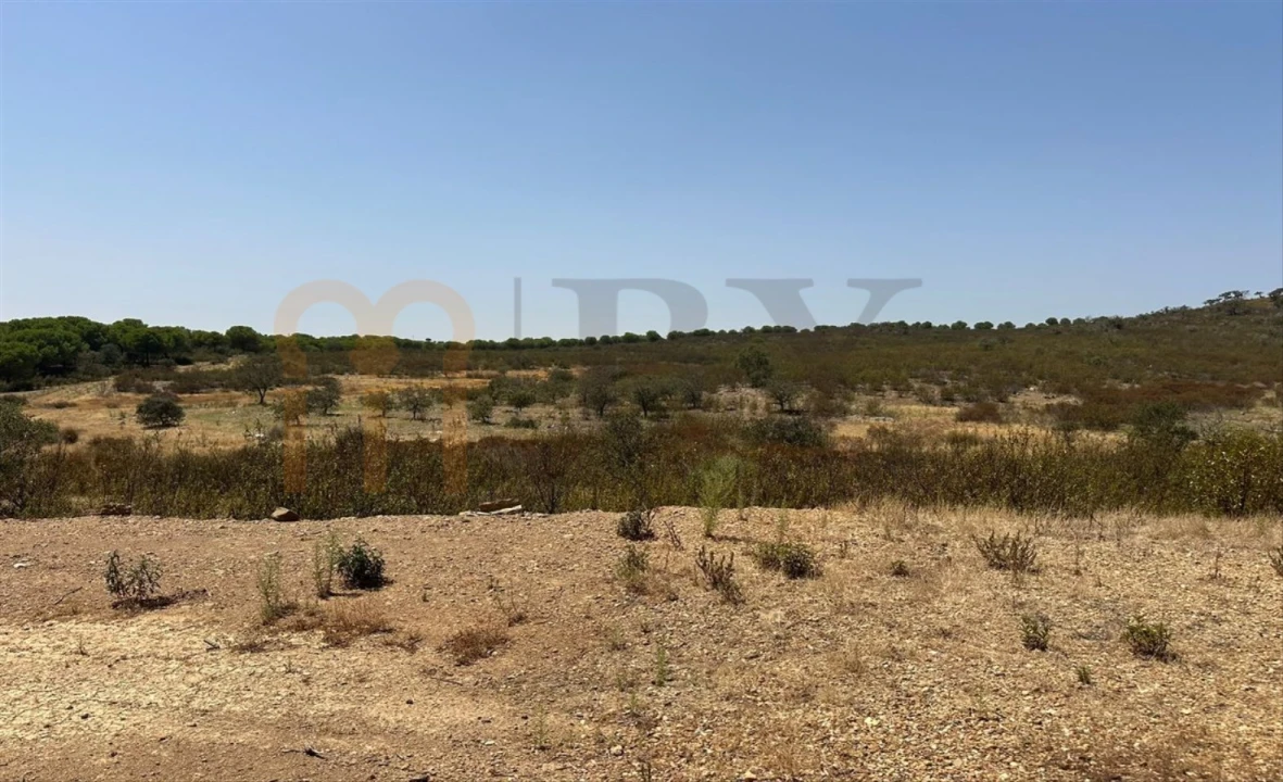 Terreno Agricola ou Rústico para Venda em Mertola Foto 1