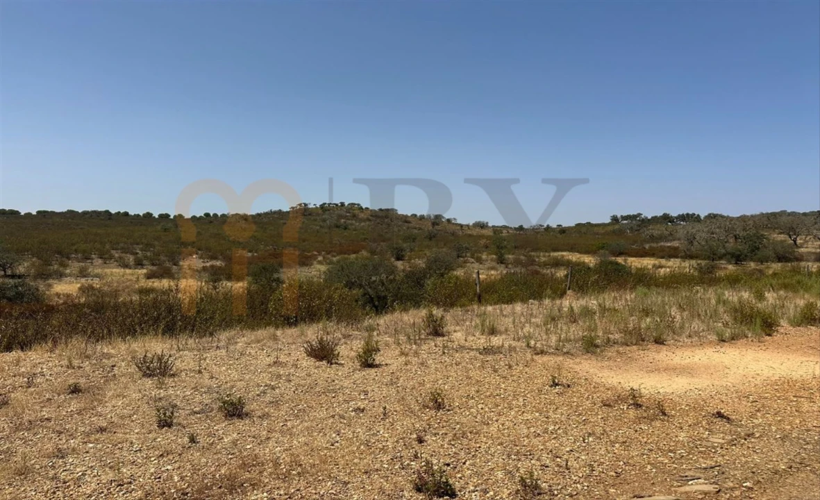 Terreno Agricola ou Rústico para Venda em Mertola Foto 4