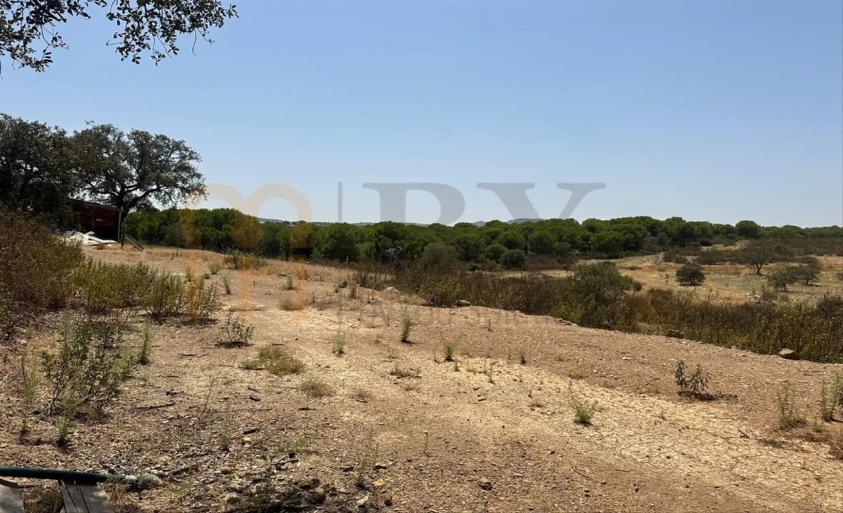 Terreno Agricola ou Rústico para Venda em Mertola Foto 6