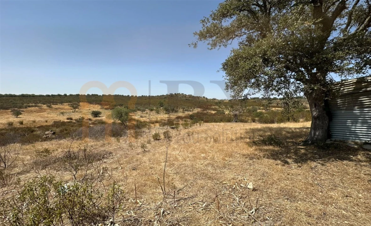 Terreno Agricola ou Rústico para Venda em Mertola Foto 8