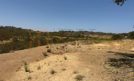 Terreno Agricola ou Rústico para Venda em Mertola