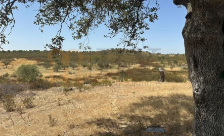 Terreno Agricola ou Rústico para Venda em Mertola