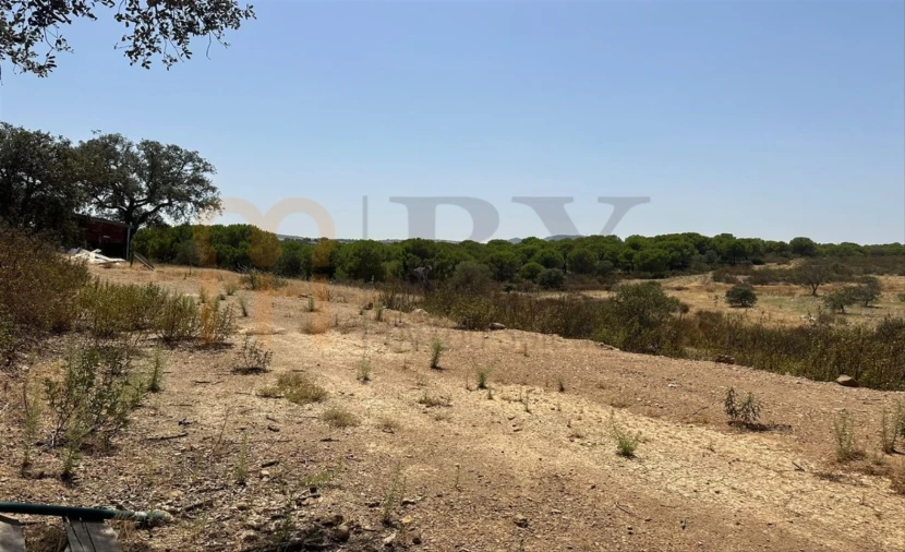 Terreno Agricola ou Rústico para Venda em Mertola Foto 6