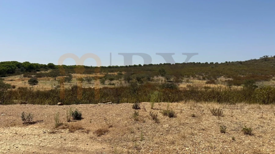 Terreno Agricola ou Rústico para Venda em Mertola