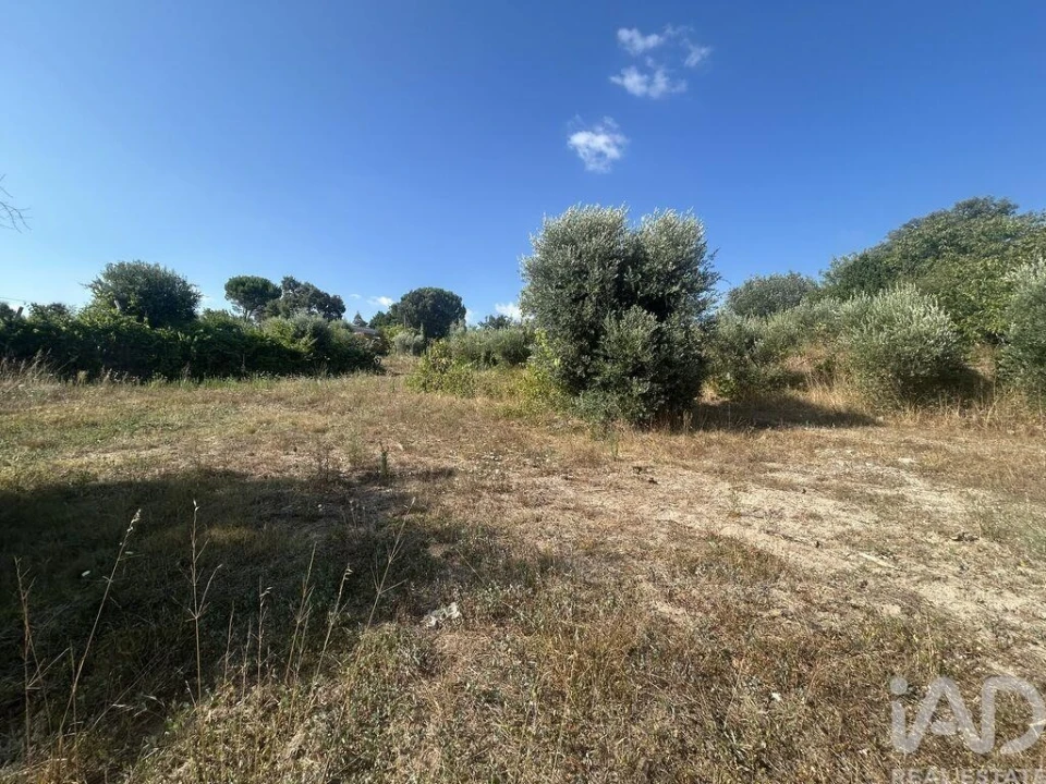 Terreno para Venda em Midões Foto 5