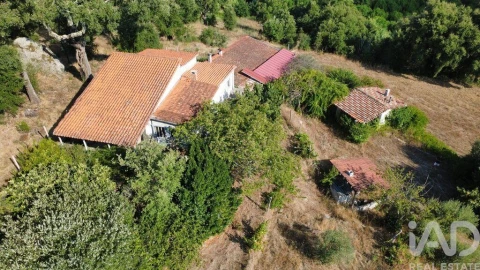 Terreno para Venda em Midões