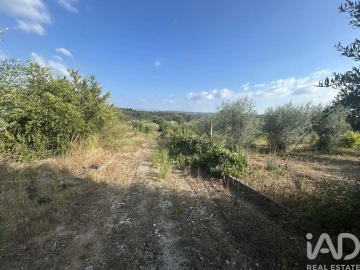 Terreno para Venda em Midões