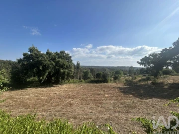 Terreno para Venda em Midões