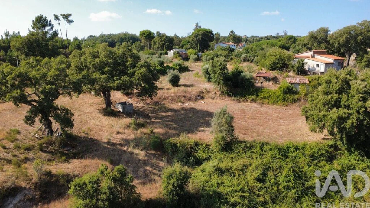 Terreno para Venda em Midões Foto 1