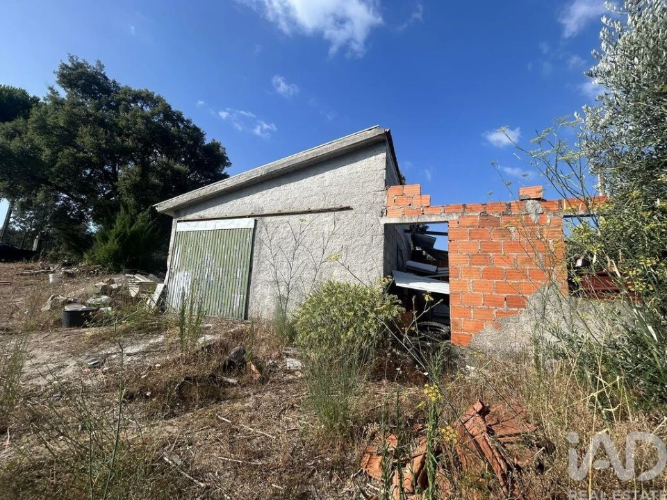 Terreno para Venda em Midões Foto 27