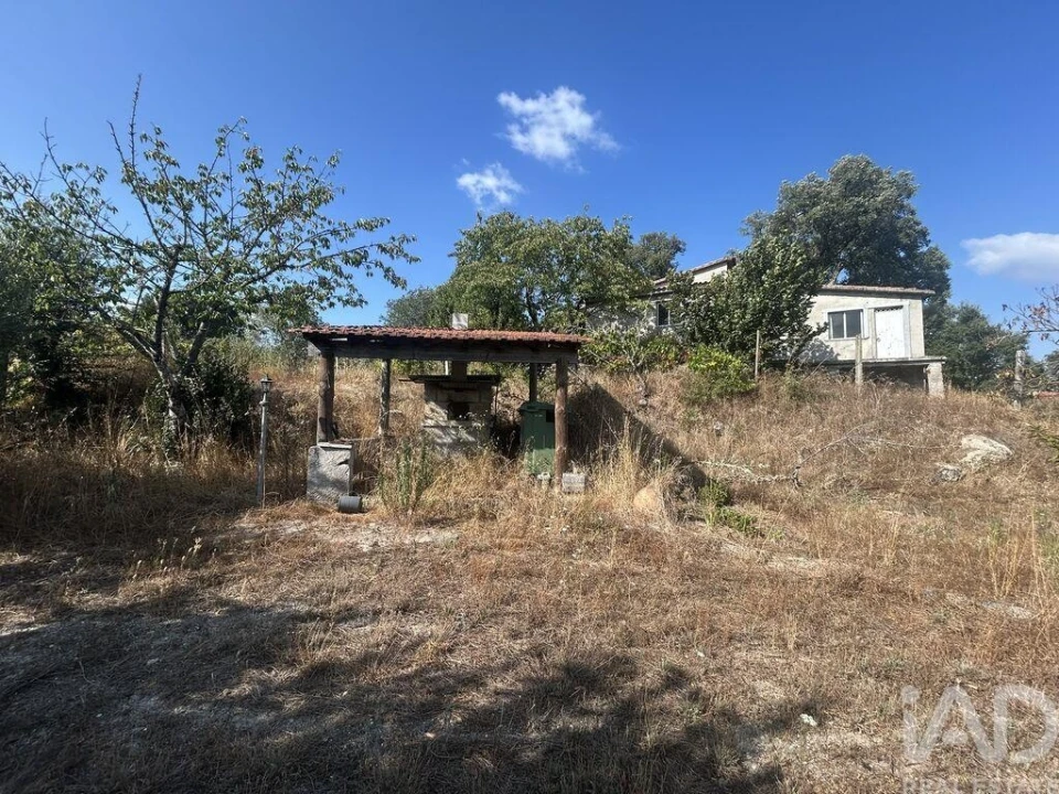 Terreno para Venda em Midões Foto 6