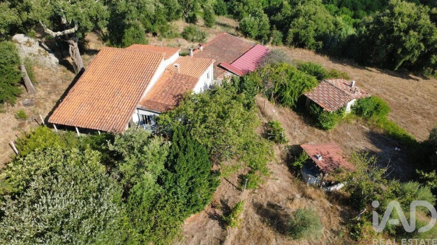 Terreno para Venda em Midões Foto 2