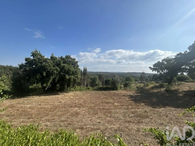Terreno para Venda em Midões Foto 29
