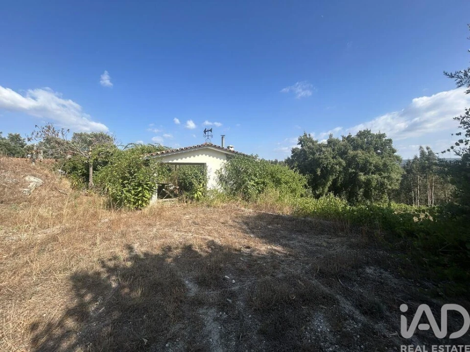 Terreno para Venda em Midões Foto 3