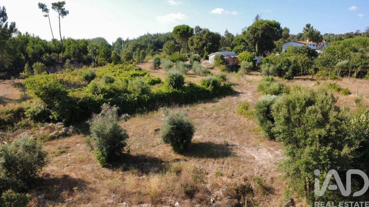 Terreno para Venda em Midões Foto 4
