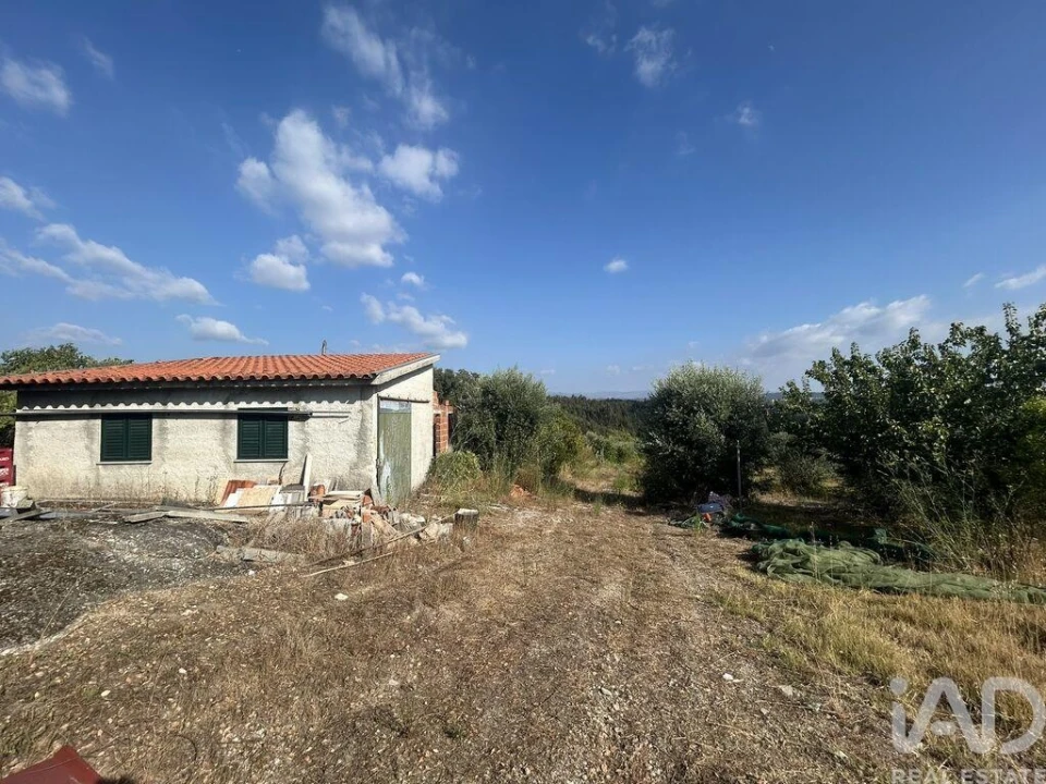 Terreno para Venda em Midões Foto 26