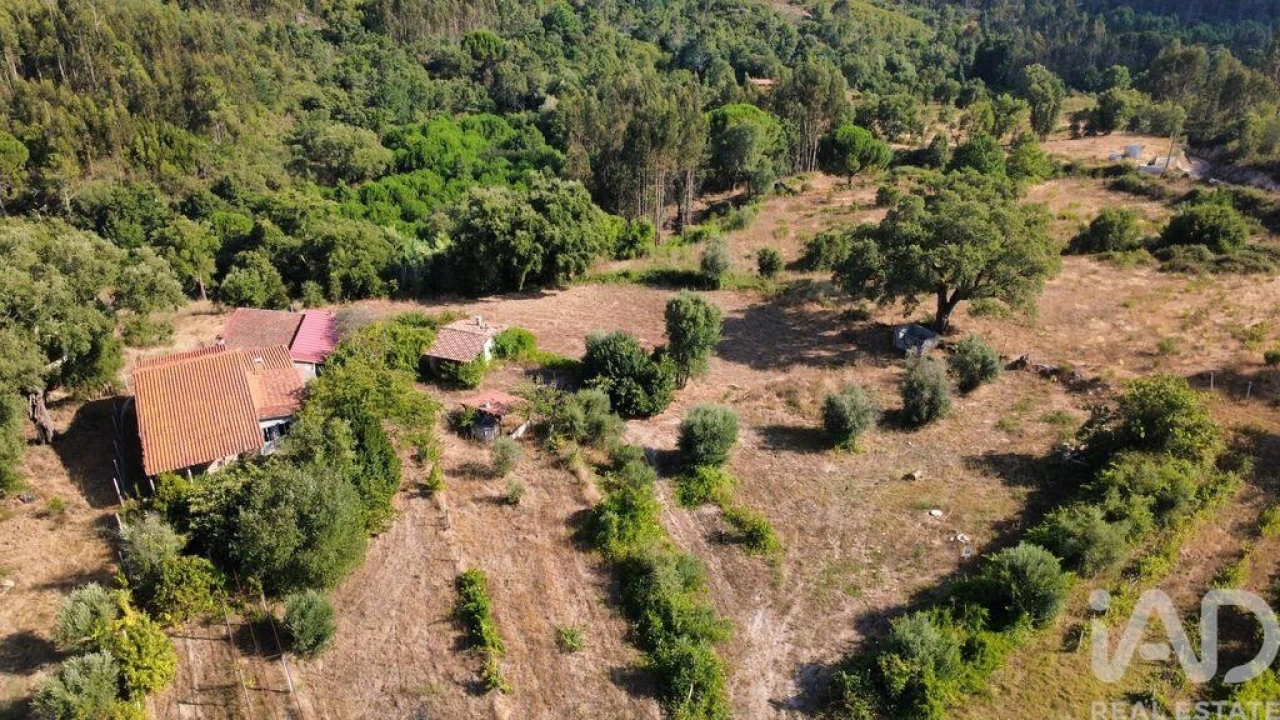 Terreno para Venda em Midões Foto 31