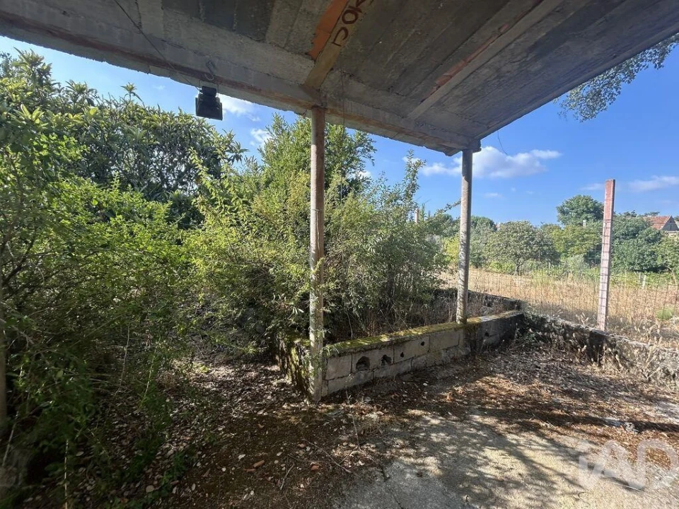 Terreno para Venda em Midões Foto 21