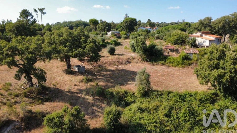 Terreno para Venda em Midões
