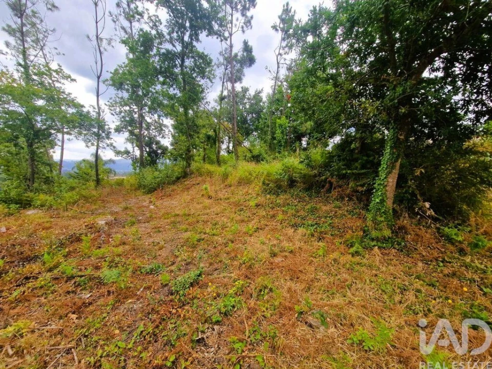 Terreno para Venda em Lanheses Foto 19