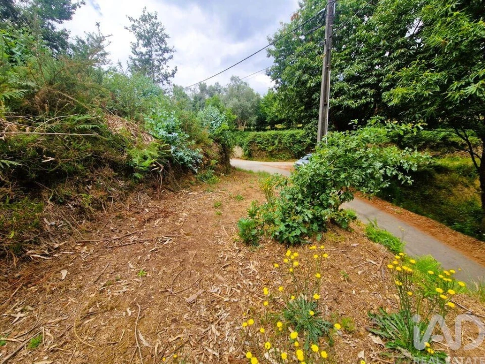 Terreno para Venda em Lanheses Foto 11