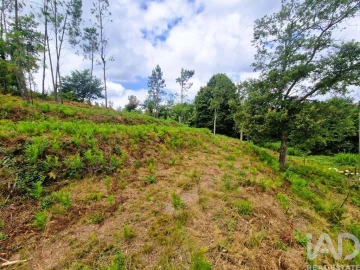 Terreno para Venda em Lanheses