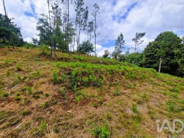Terreno para Venda em Lanheses