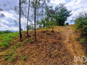 Terreno para Venda em Lanheses