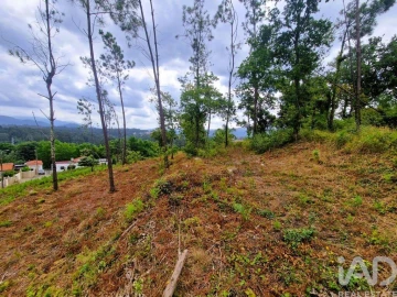Terreno para Venda em Lanheses