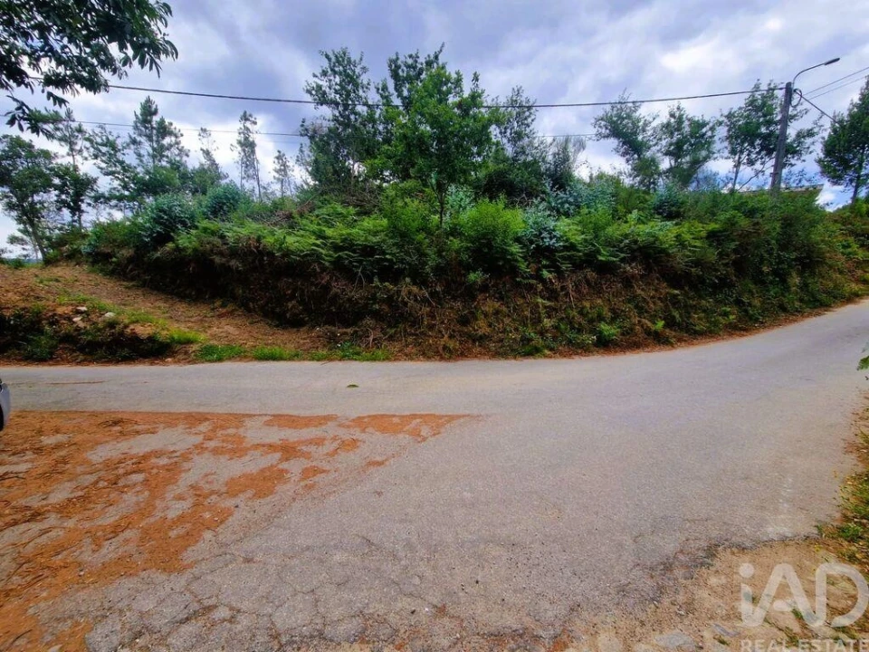 Terreno para Venda em Lanheses Foto 7
