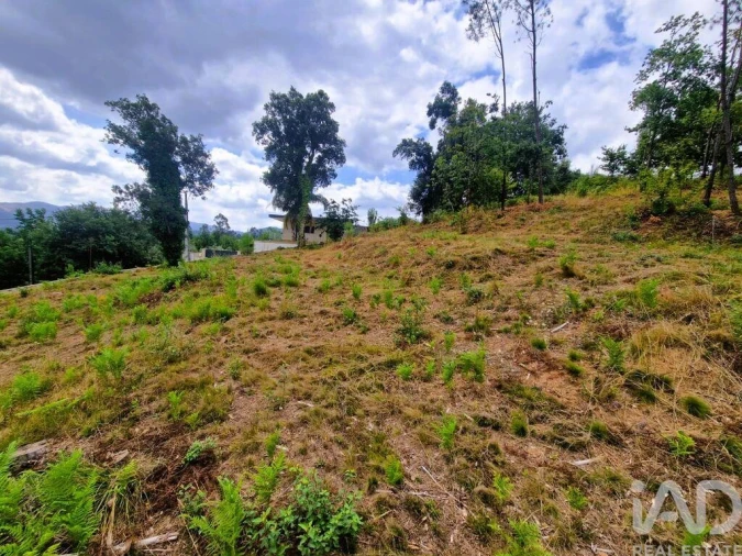 Terreno para Venda em Lanheses Foto 17
