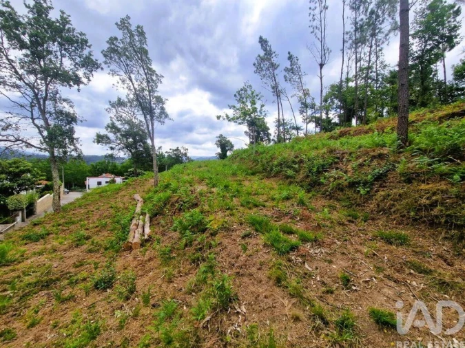 Terreno para Venda em Lanheses Foto 20