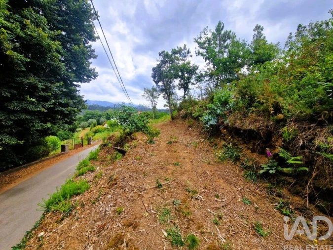 Terreno para Venda em Lanheses Foto 10