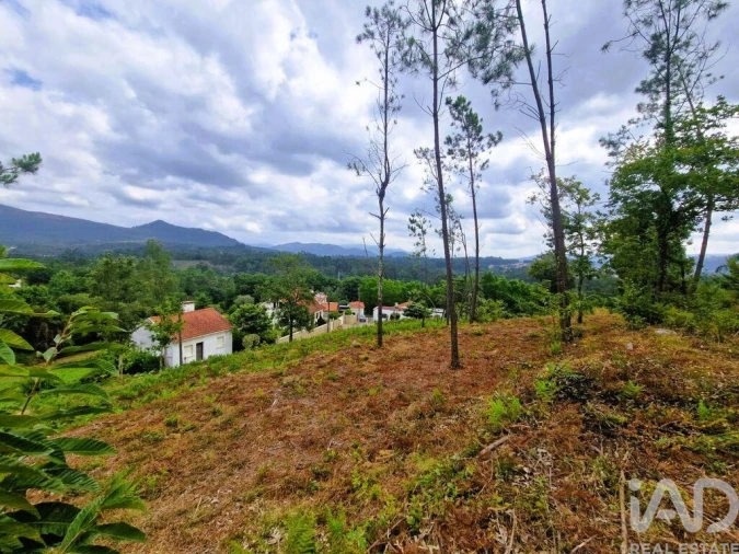 Terreno para Venda em Lanheses Foto 3