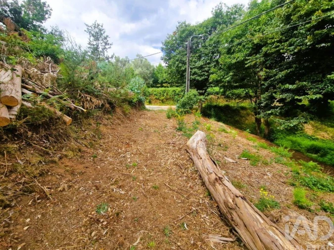 Terreno para Venda em Lanheses Foto 12