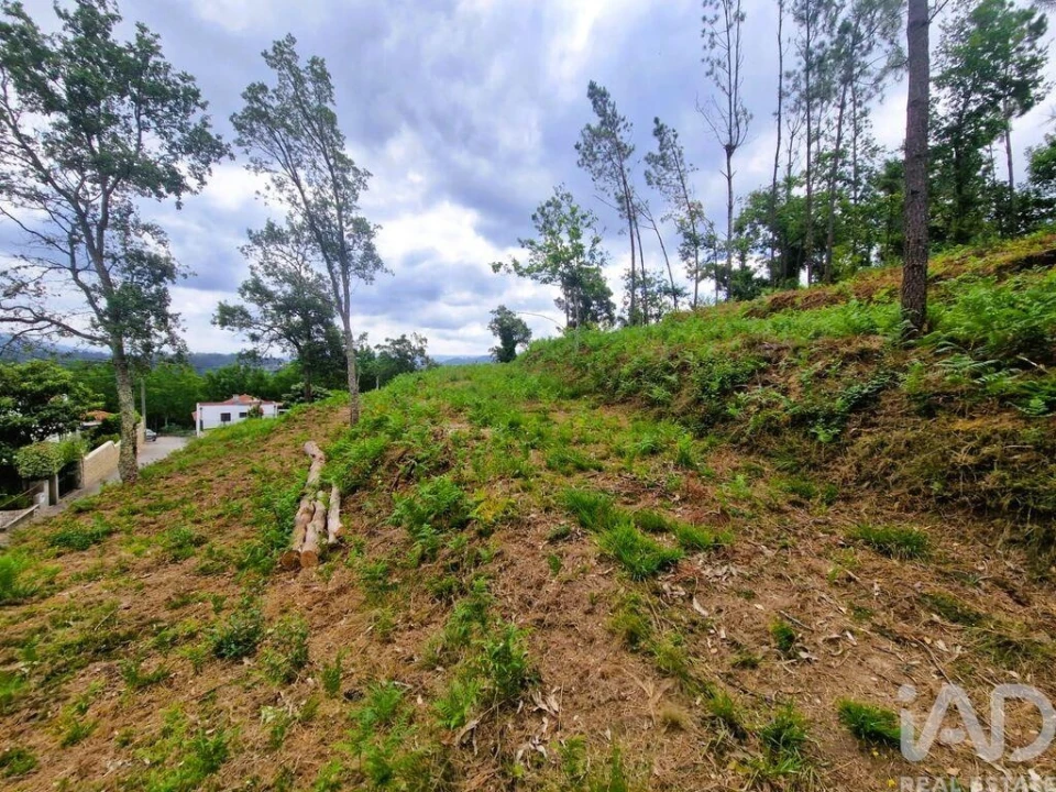 Terreno para Venda em Lanheses Foto 20