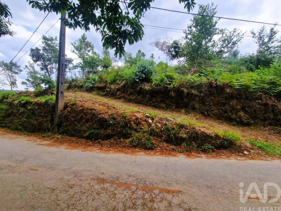Terreno para Venda em Lanheses Foto 13