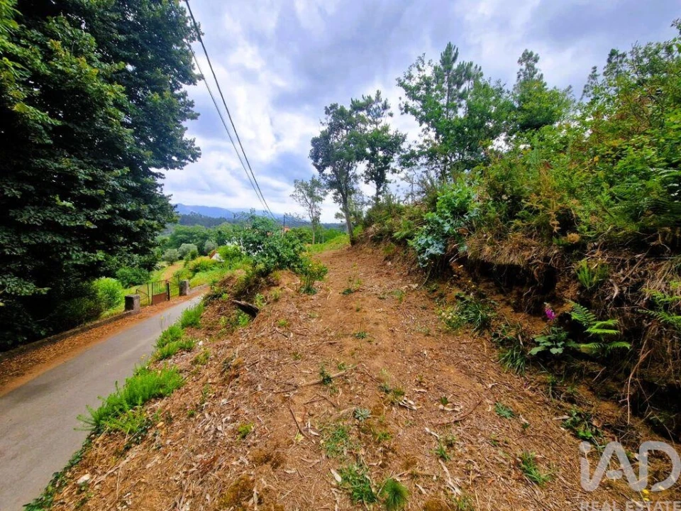 Terreno para Venda em Lanheses Foto 10