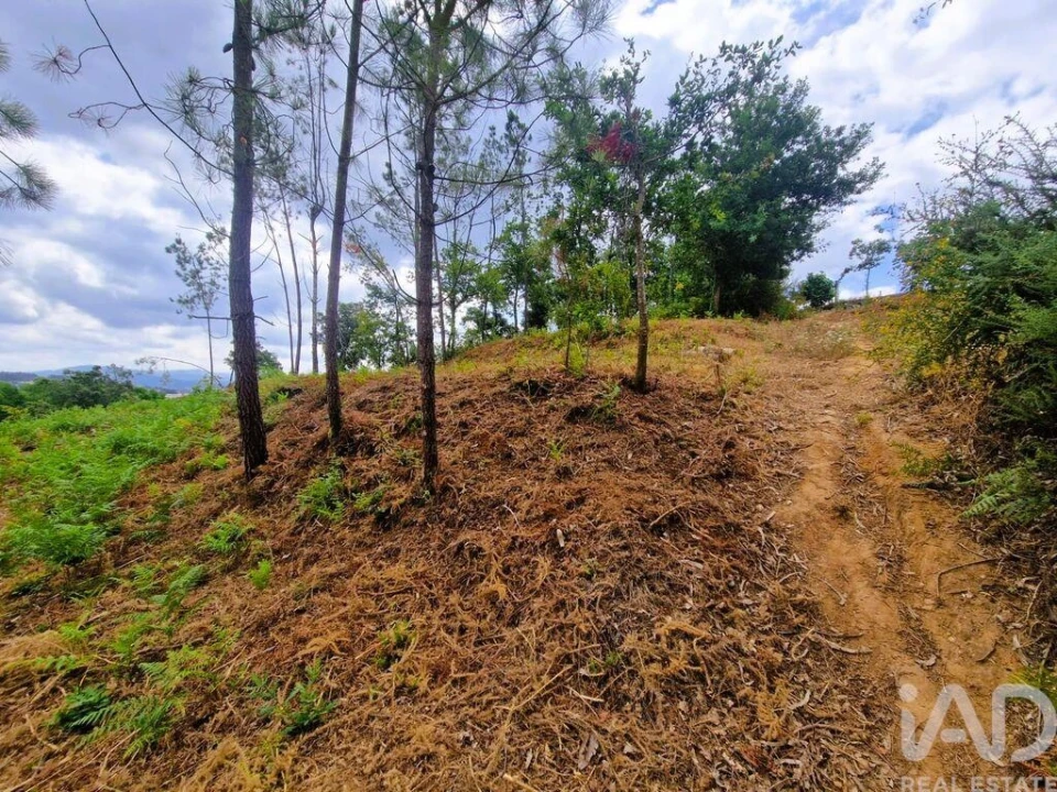 Terreno para Venda em Lanheses Foto 6