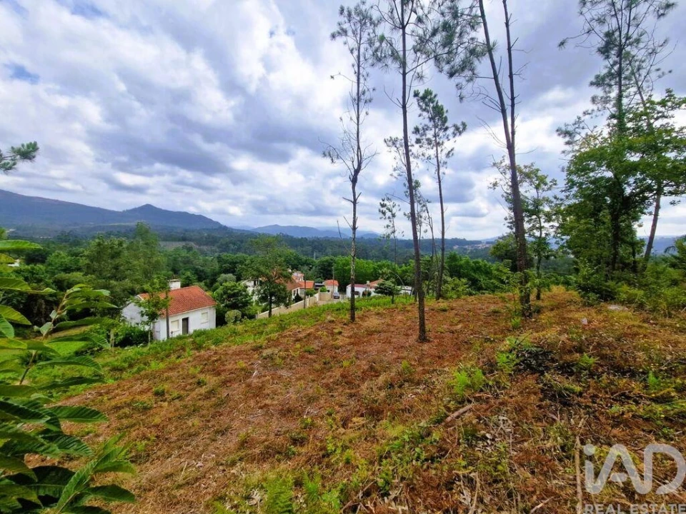 Terreno para Venda em Lanheses Foto 3