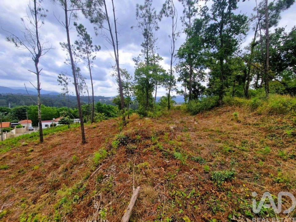 Terreno para Venda em Lanheses Foto 5