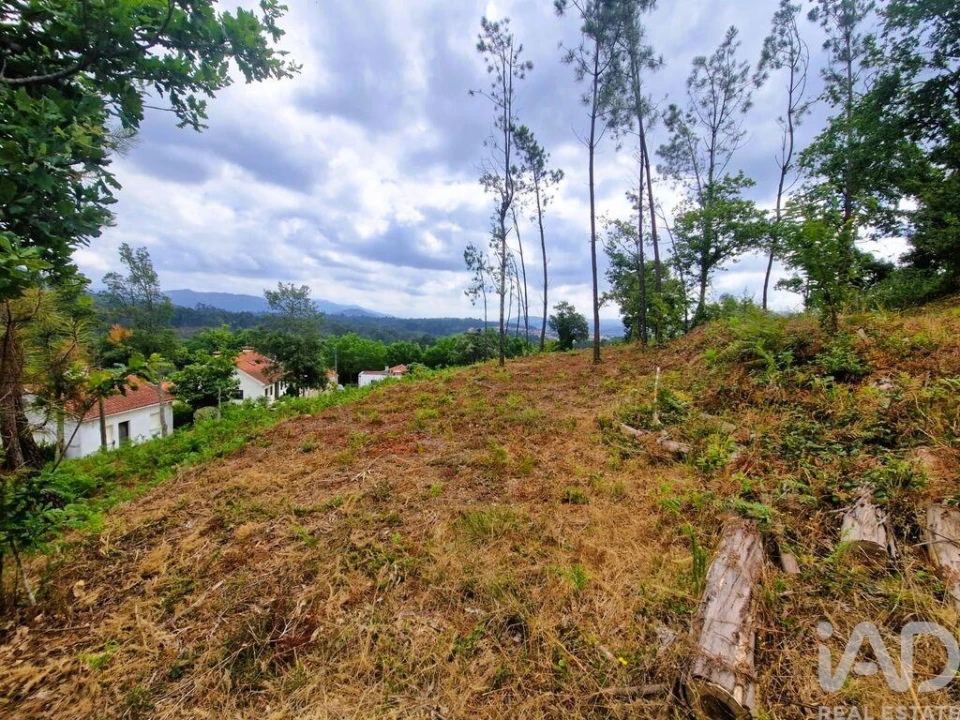 Terreno para Venda em Lanheses Foto 4